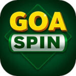 Goa Spin artwork